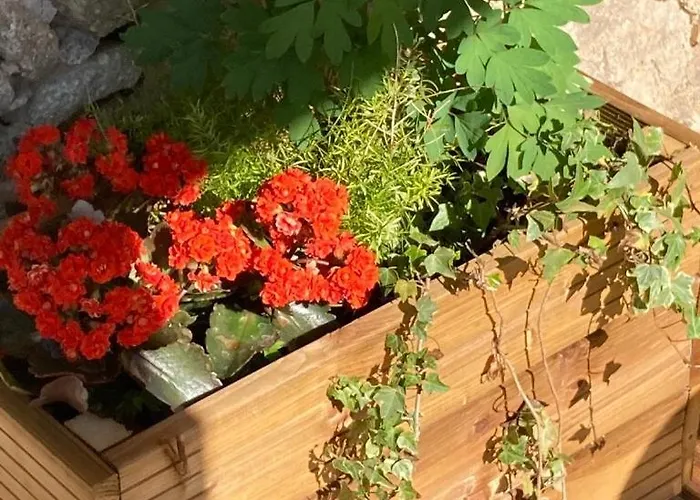 Casa vacanze Mas De Prestige - Piscine Privee & Terrasses Independantes - Sans Vis-A-Vis Serralongue