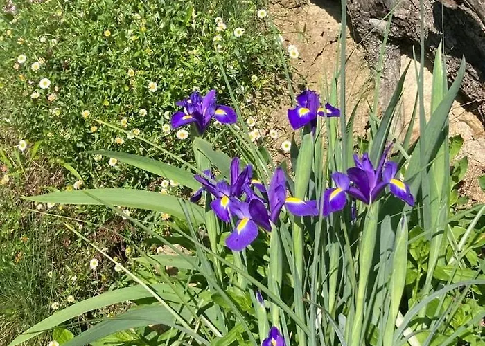 Ferienhaus Mas De Prestige - Piscine Privee & Terrasses Independantes - Sans Vis-A-Vis