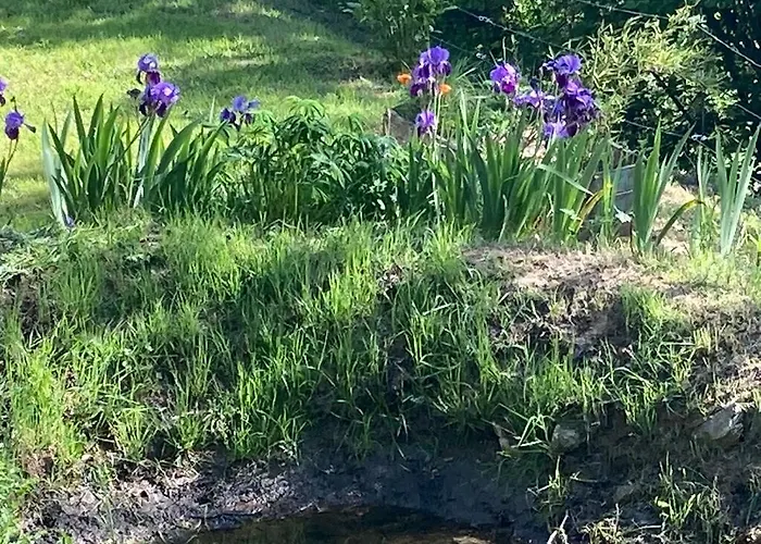 Casa vacanze Mas De Prestige - Piscine Privee & Terrasses Independantes - Sans Vis-A-Vis *